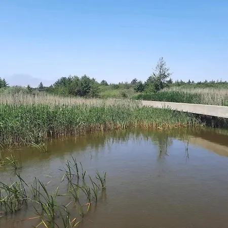 Renovated Retreat With Pool - By Traum בית נופש